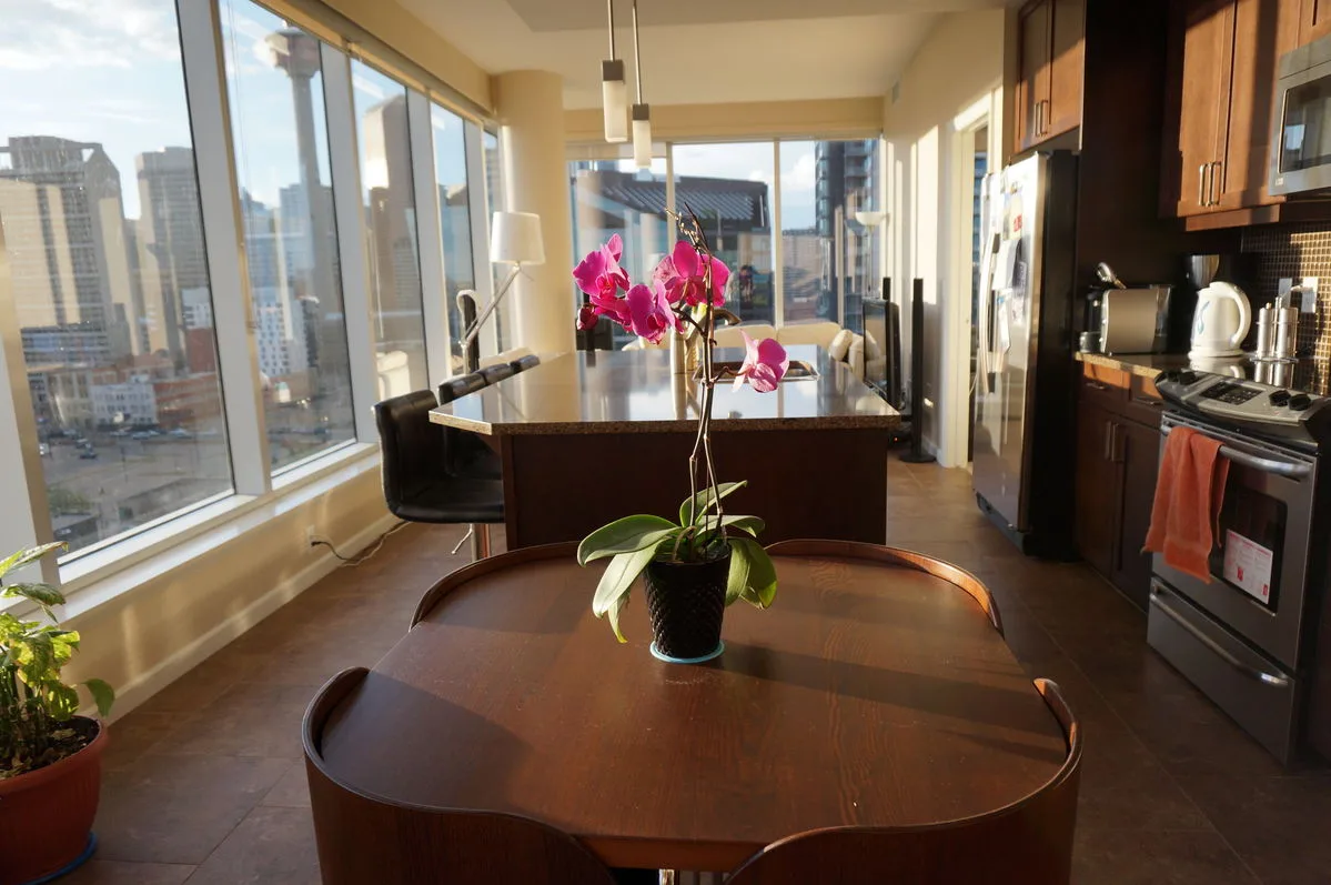 Spacious 2b/2bath Corner Unit in Nuera Downtown