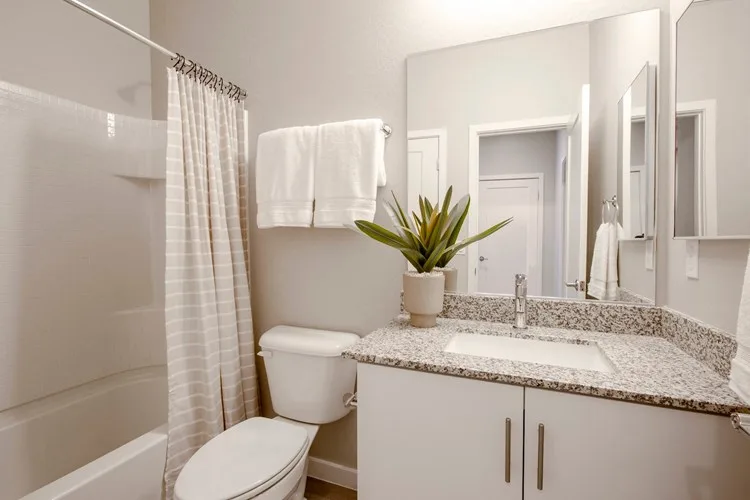 Viceroy Luxury Townhomes - Newer Construction