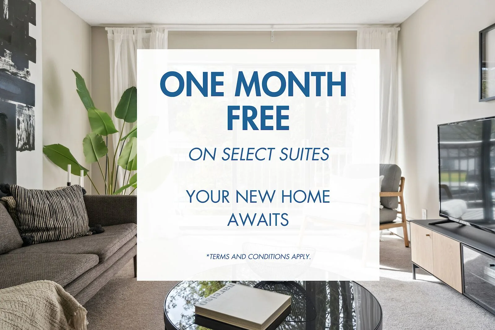 Spacious and Bright Rental Apartments in Surrey