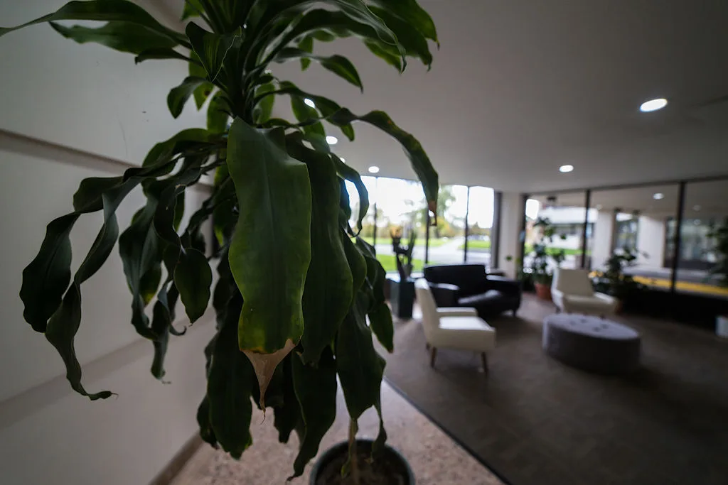 Apartment for rent at 1B Richview Road