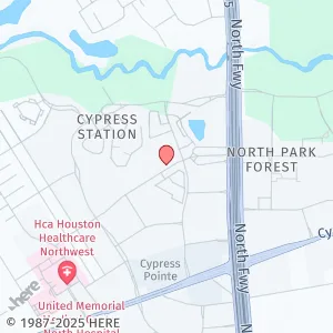 106 Hollow Tree Ln, Houston, TX 77090, USA