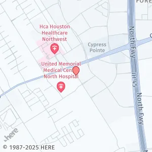 17223 Hafer Rd, Houston, TX 77090, USA