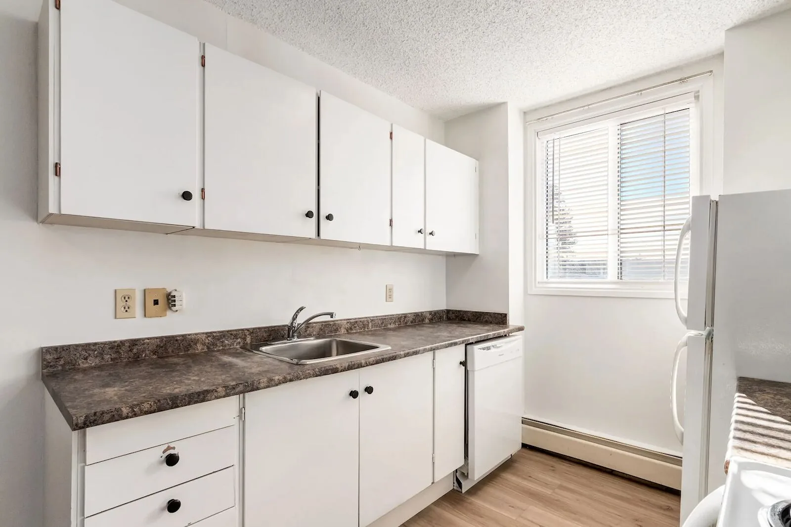 Comfortable, pet-friendly apartments for rent | Book a showing today!