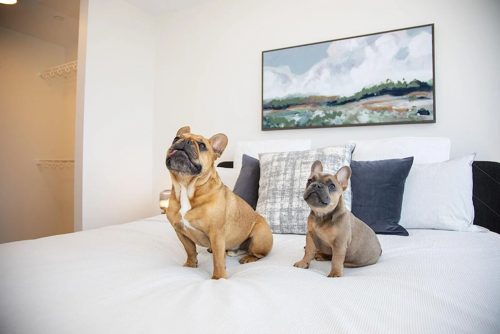 Sunalta Heights - Luxury Apartments!