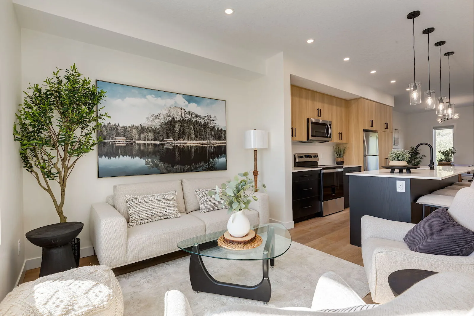 Brand New Townhomes in Trinity Hills!