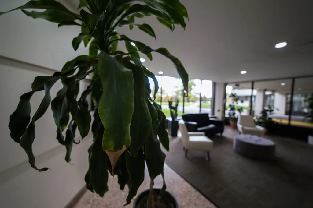 Apartment for rent at 1B Richview Road