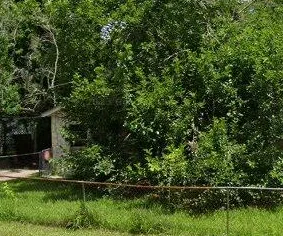 8309 Carolwood Drive, Houston, TX 77028, USA