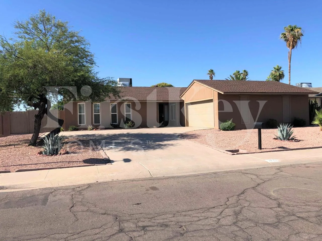 3672 W Windrose Dr, Phoenix, AZ 85029, USA
