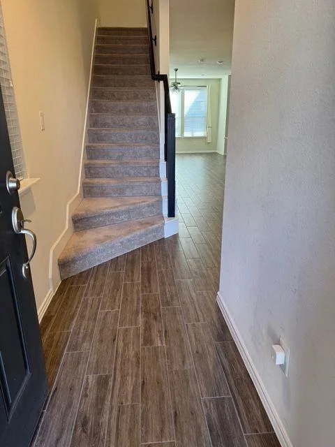 3415 Avondale View Dr, Houston, TX 77025, USA