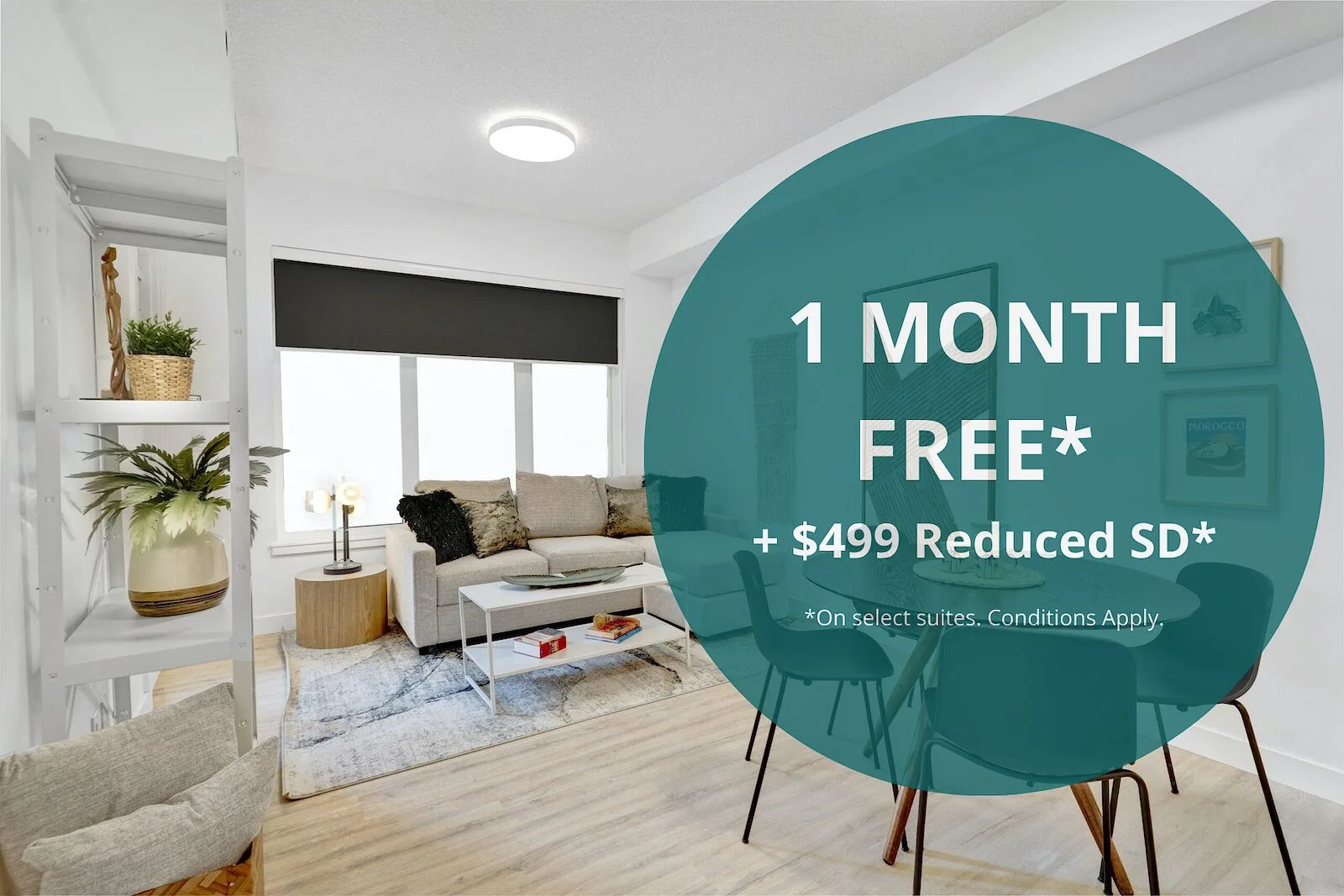 Elevated Living Awaits - Studio, 1 and 2 Bedroom Boutique Suites