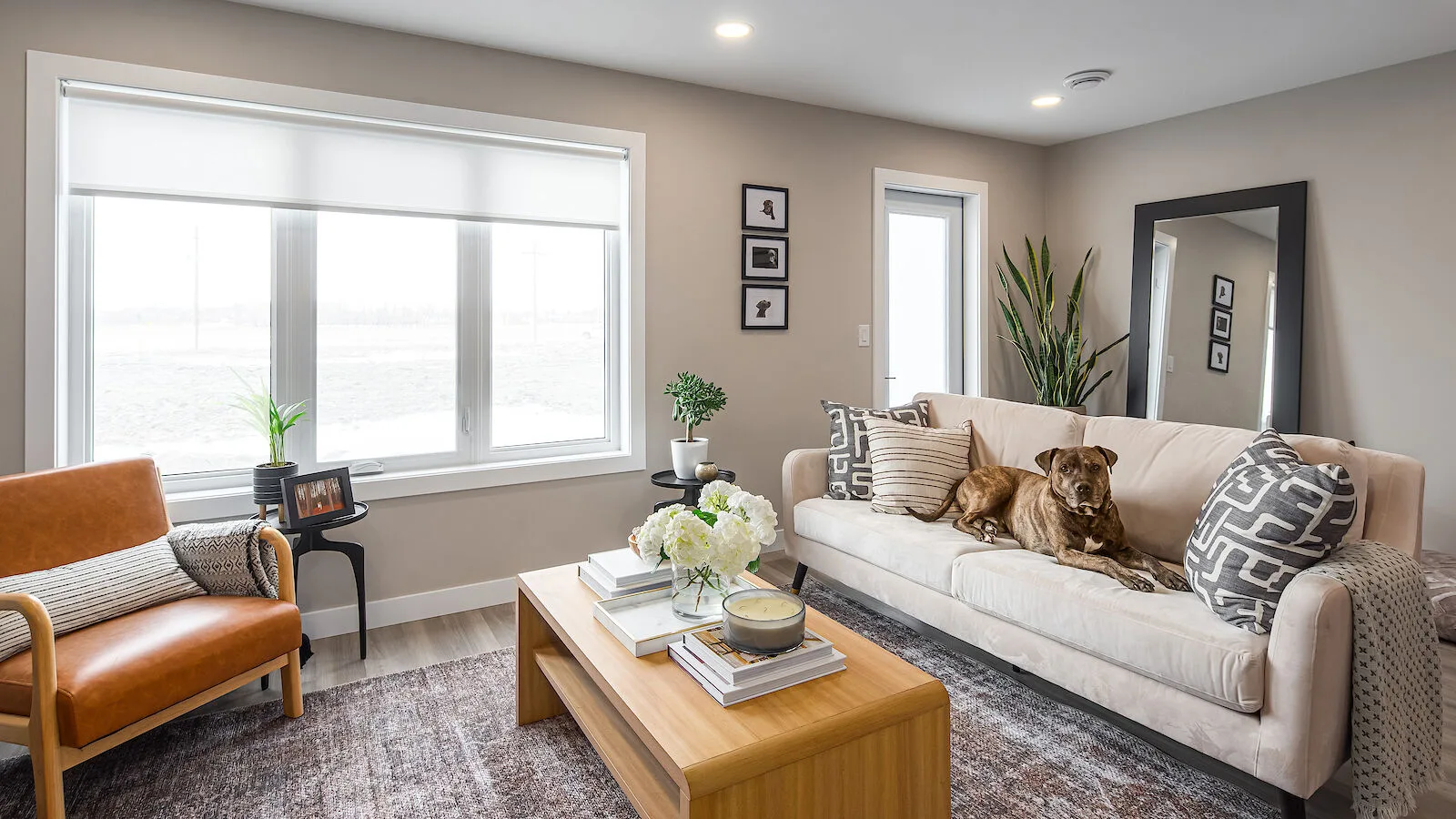 Provider Homes - The Ones with Dog Parks!