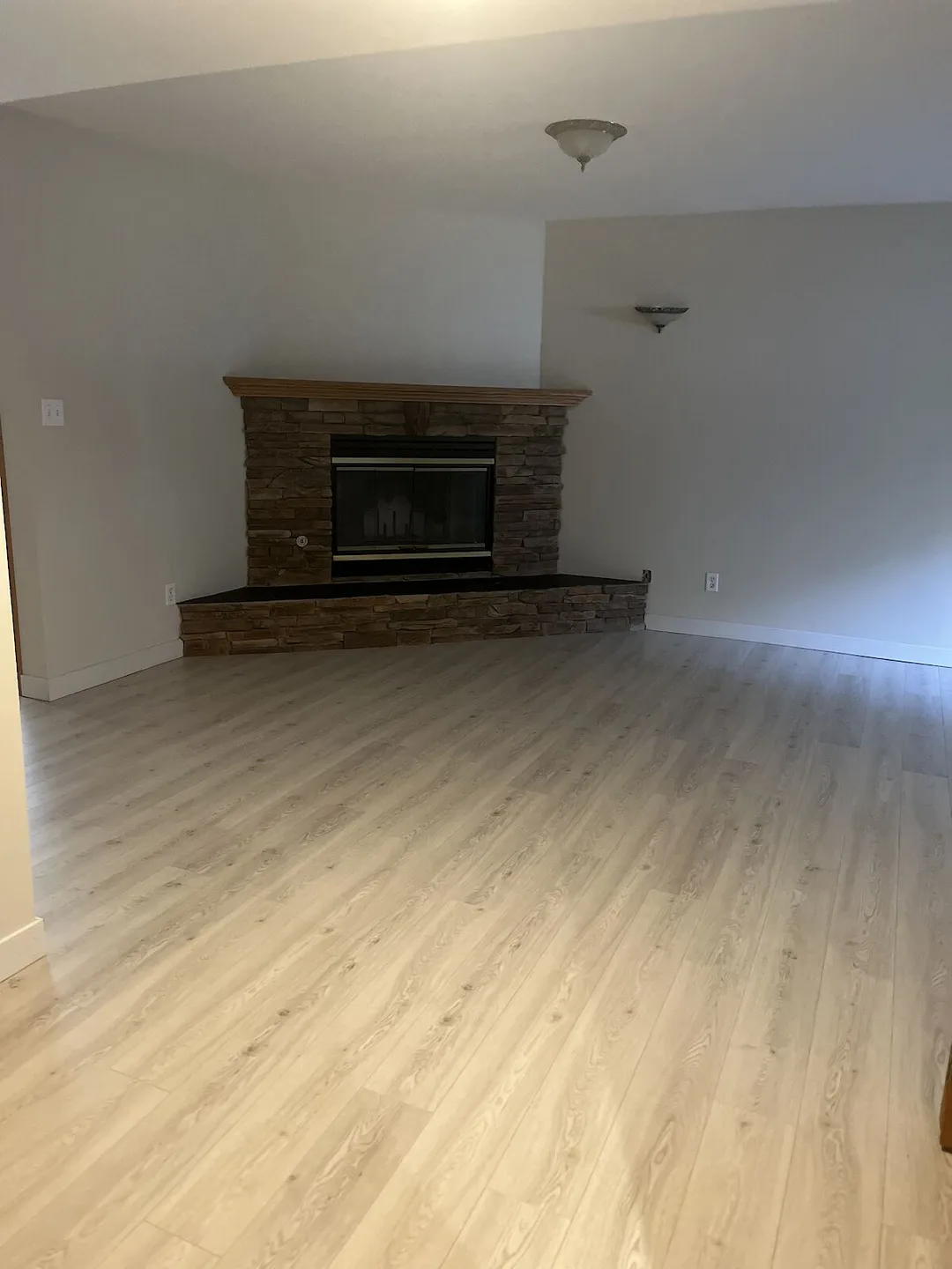 Spacious basement suite!