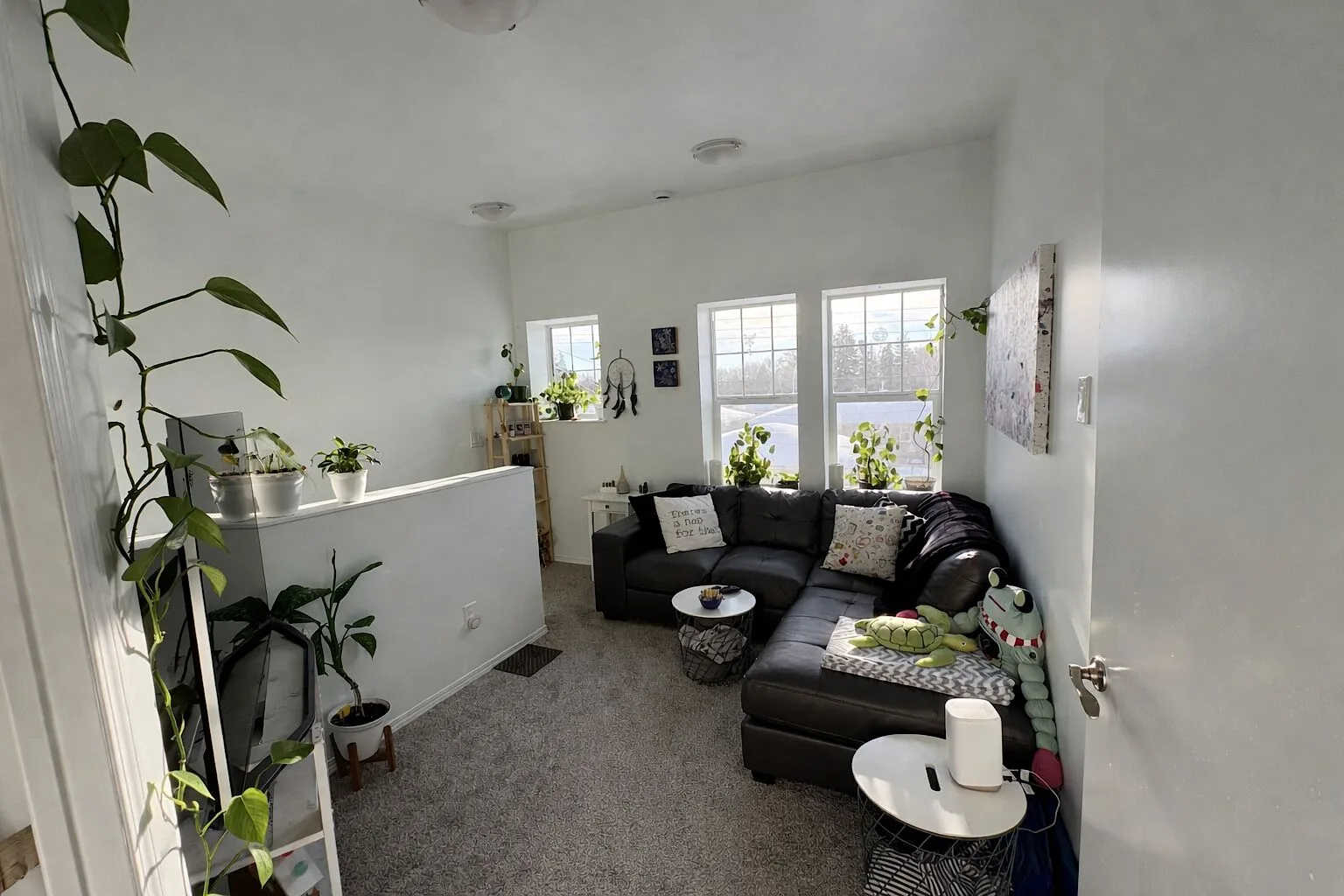 SF204 – 11811 & 11813 47 Street NW | Multiple Units Available | 1 MONTH FREE