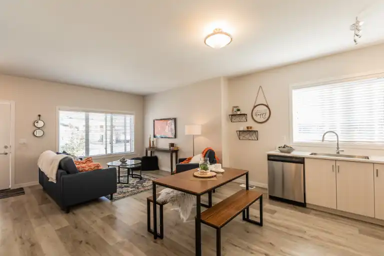 Element Townhomes in Prairie Pointe